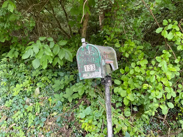133 Persimmon Rd, Andersonville, TN 37705