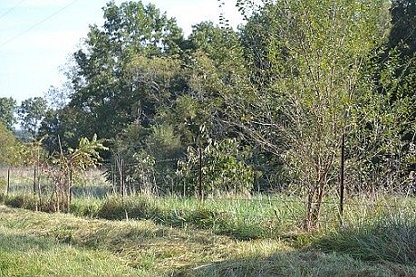 2nd image of 11214 County Road 6850