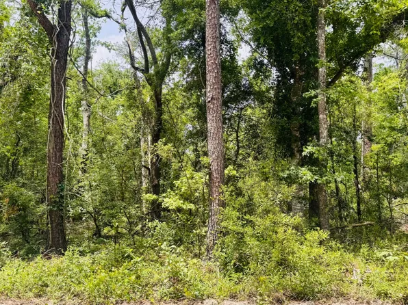 LOT 42 SW 76th Dr, Jasper, FL 32052