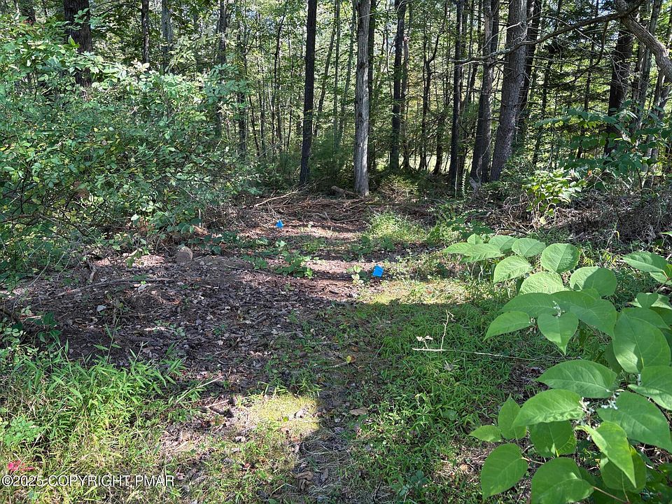 2nd image of Center Rd #T-481