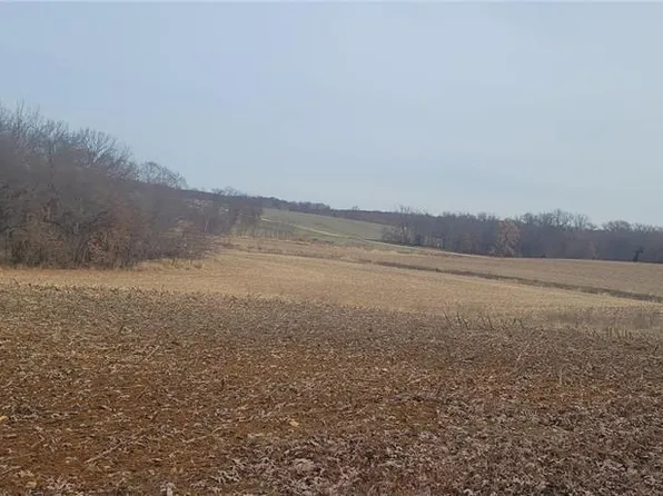 60 Orbit Rd, Anabel, MO 63431