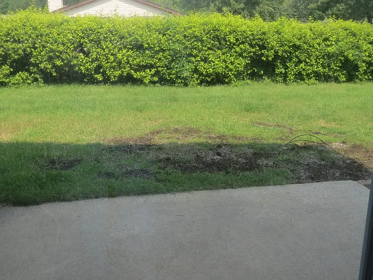 View from deck