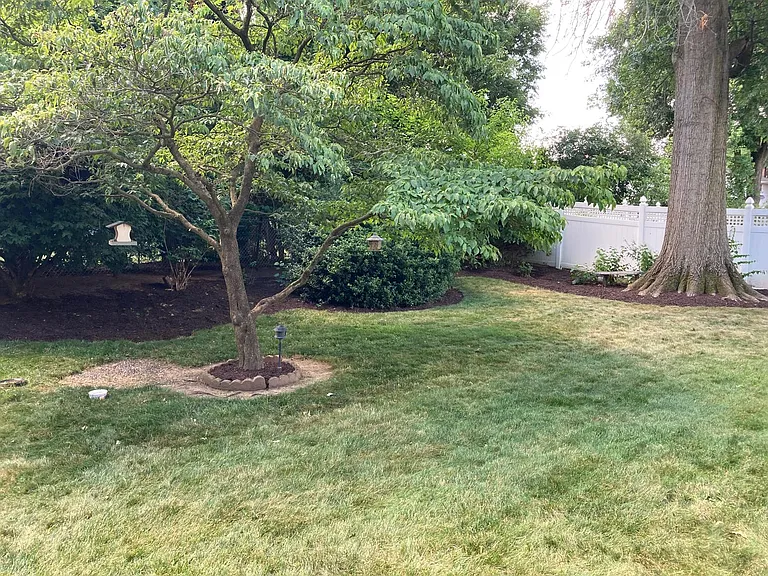54 Sycamore Ln — Photo 6