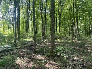 3rd image of 0 West Park