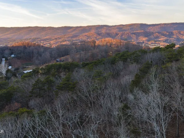 1655 Lester Whitt Rd Lot 0, Rutledge, TN 37861