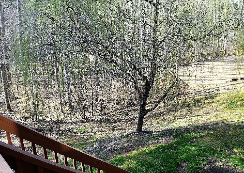 2nd image of 296 River Laurel Way