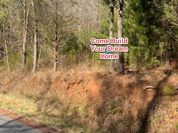 Image 3: Barb Hardin 1