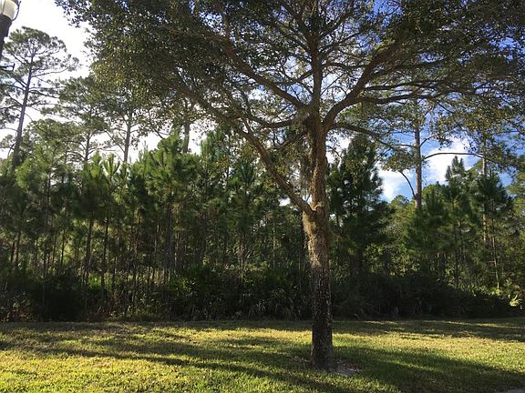 3rd image of 5324 Chandler Bend Dr
