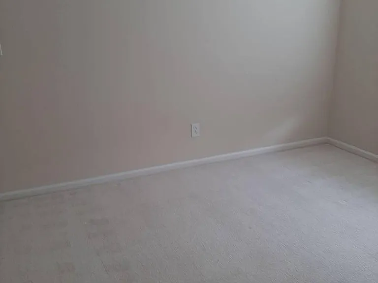217 Summer Rain Ct — Photo 6