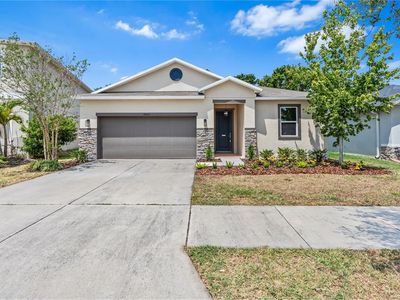 10563 Laguna Plains Dr, Riverview, FL, 33578