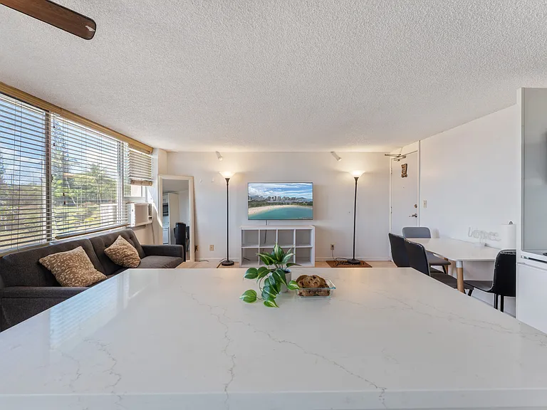 1060 Kamehameha Hwy #303B — Photo 10
