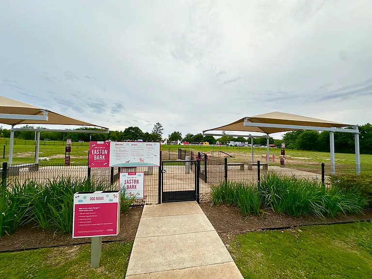 Dog Park