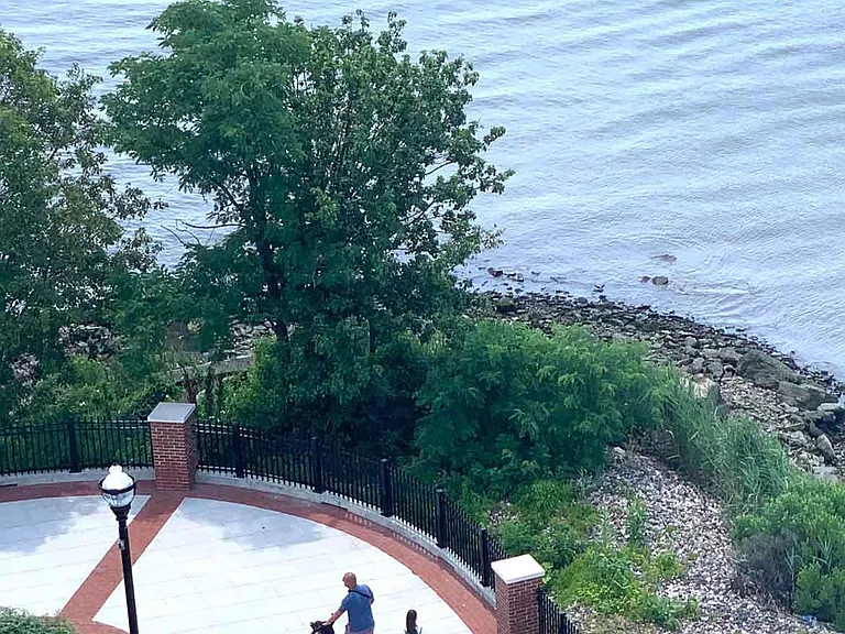 The View — Photo 15