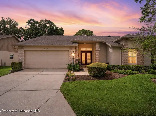 7392 Meadow Brook Ln, Spring Hill, FL 34606