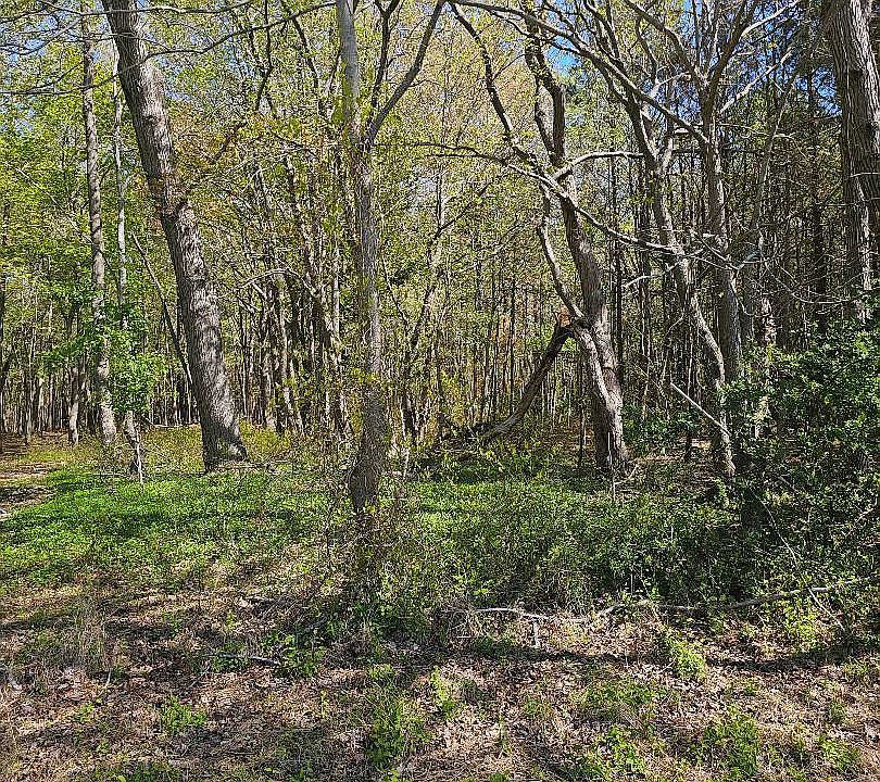 2nd image of 5071 Wayman Rd