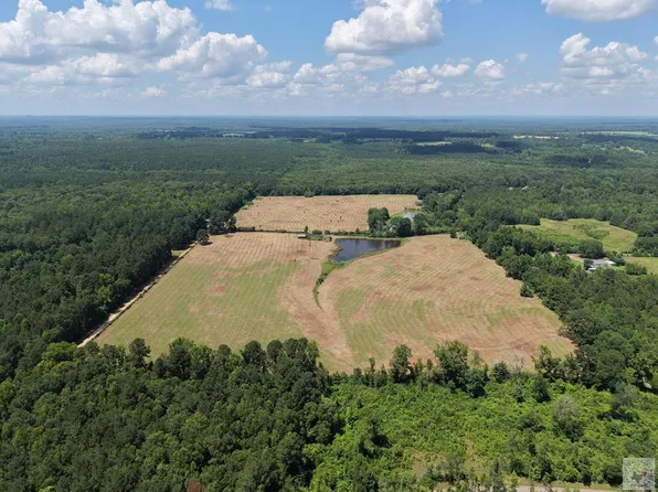 0 County Road 4810, Atlanta, TX 75551