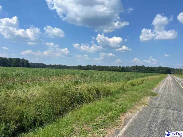 J Ben Rogers Rd, Bennettsville, SC 29512