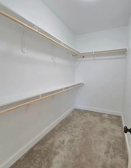 7004 Spring Gardens Dr — Photo 18