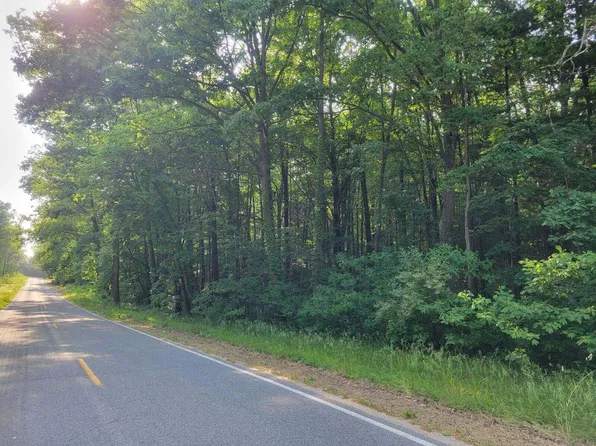 W 124th St, Grant, MI 49327