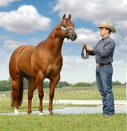 Outstanding in his field