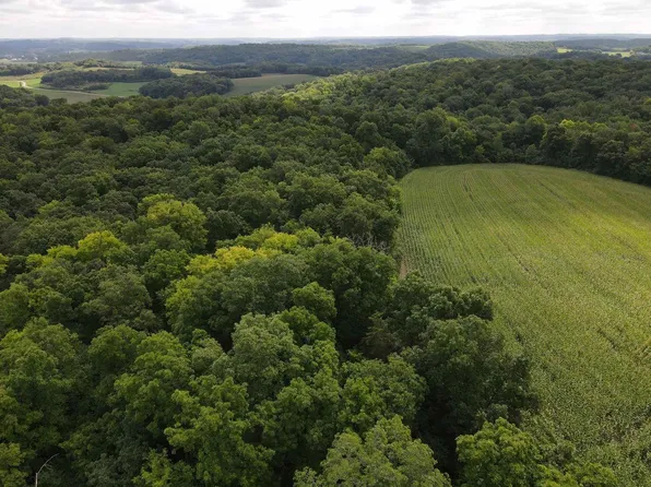 LOT 1 Fesenfeld Road, Black Earth, WI 53515