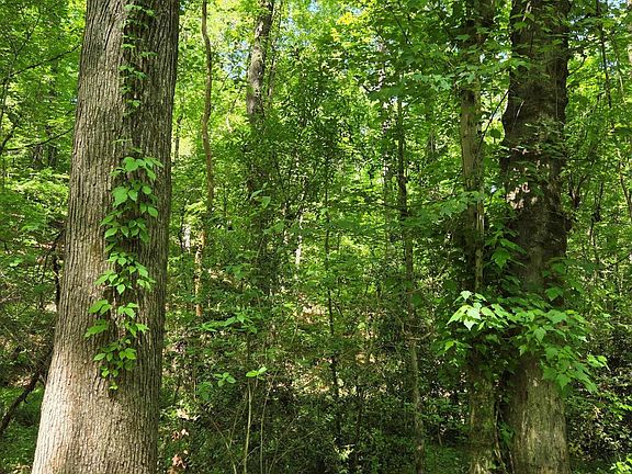 5th image of 1898 Wood Valley Rd
