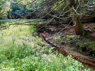 161 W Nachazel Rd, Maple City, MI 49664