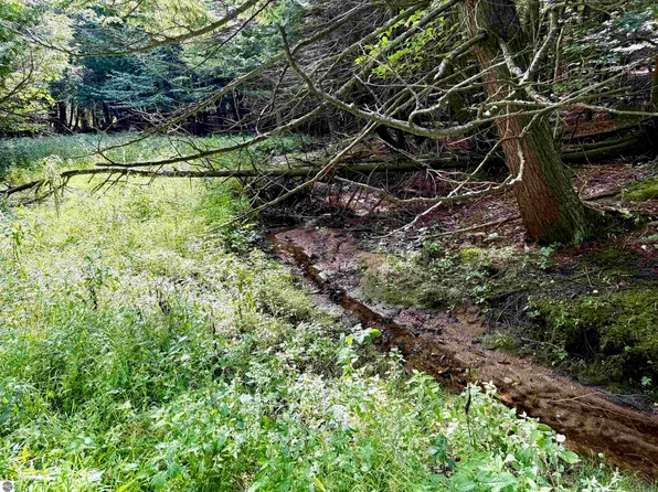 161 W Nachazel Rd, Maple City, MI 49664