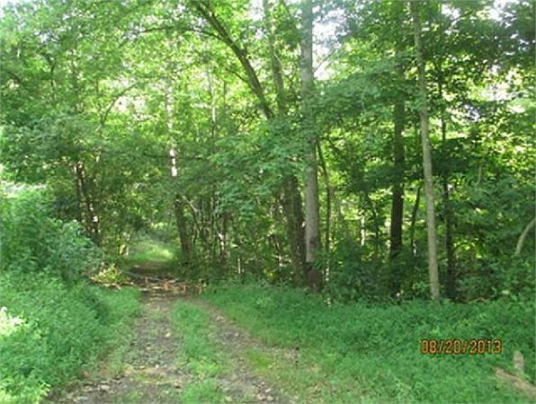 2nd image of 0 Hamlin Rd