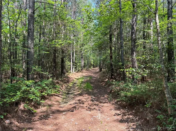 17903 Wards Creek Rd, Disputanta, VA 23842