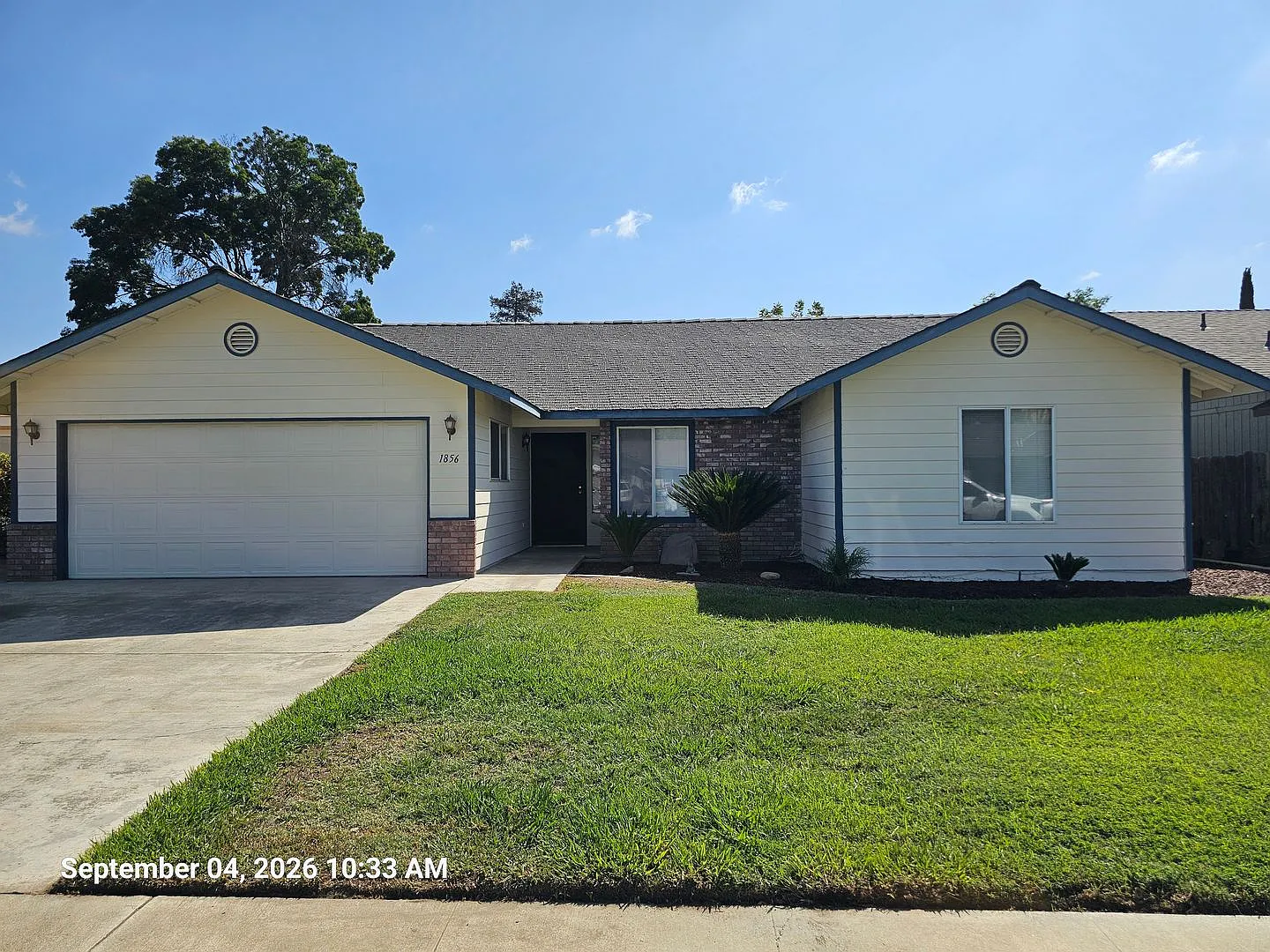 1856Cassi — Photo 1