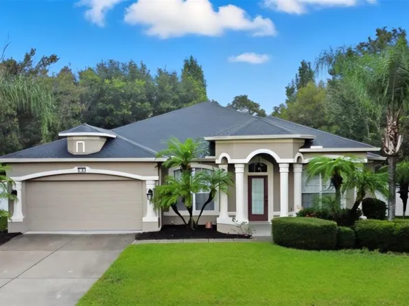 3193 Toho Ct, Kissimmee, FL 34744