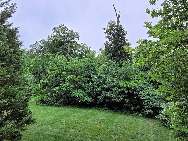 5344 Blue Aster Cir — Photo 41
