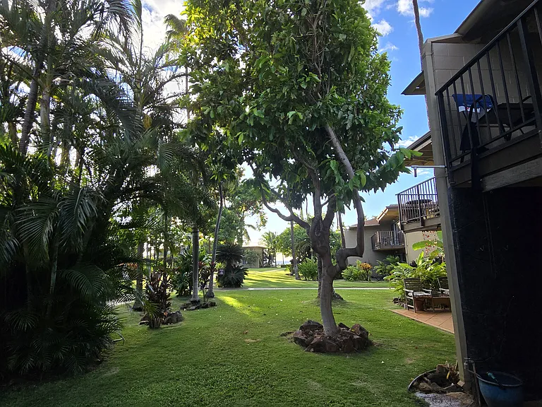 3559 Lower Honoapiilani Rd — Photo 24