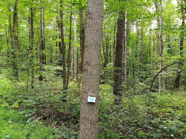 Mt Laurel Ln, Farmington, PA 15437