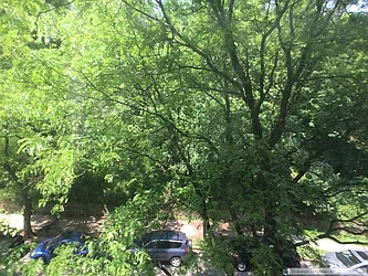 Rented by Sovereign Associates