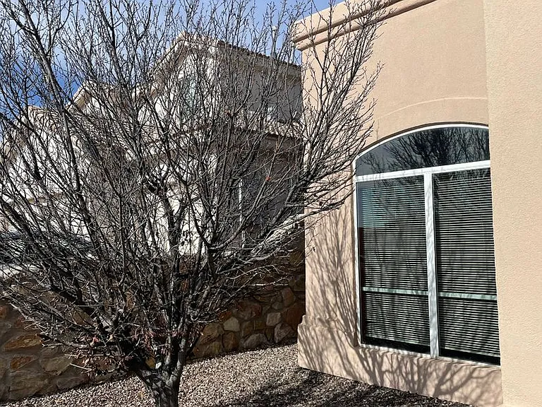 3784 Ascencion Cir — Photo 10