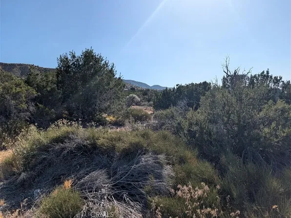8 Mountain Rd Lot 21, Pinon Hills, CA 92372