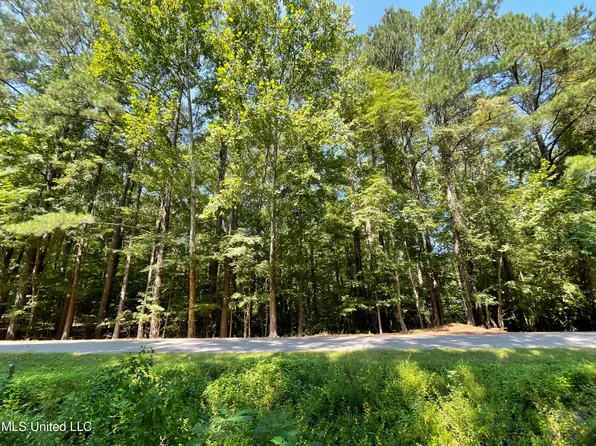 0 Rankin Hills Rd, Florence, MS 39073