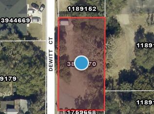 Dewitt Ct, Eustis, FL 32726