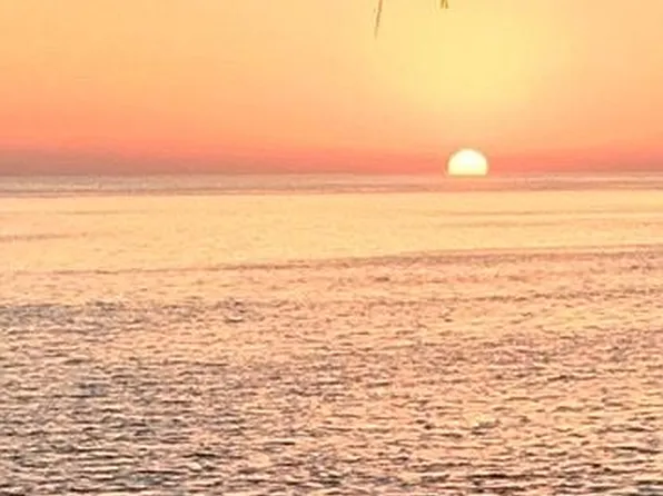 37 1st St #203, Horseshoe Beach, FL 32648