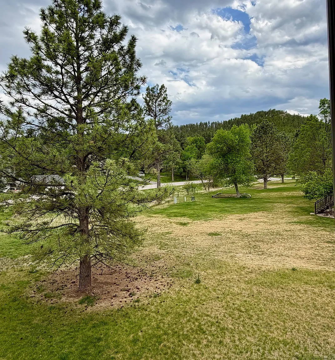 3 bed, 1555 sqft, $2,100 — Photo 3