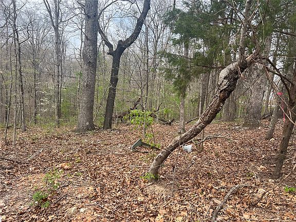 4th image of Cunningham Ln #3