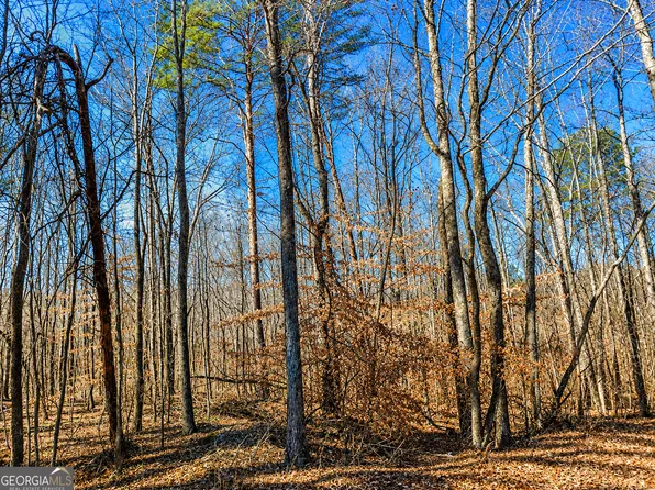 Pettit Rd, Jasper, GA 30143