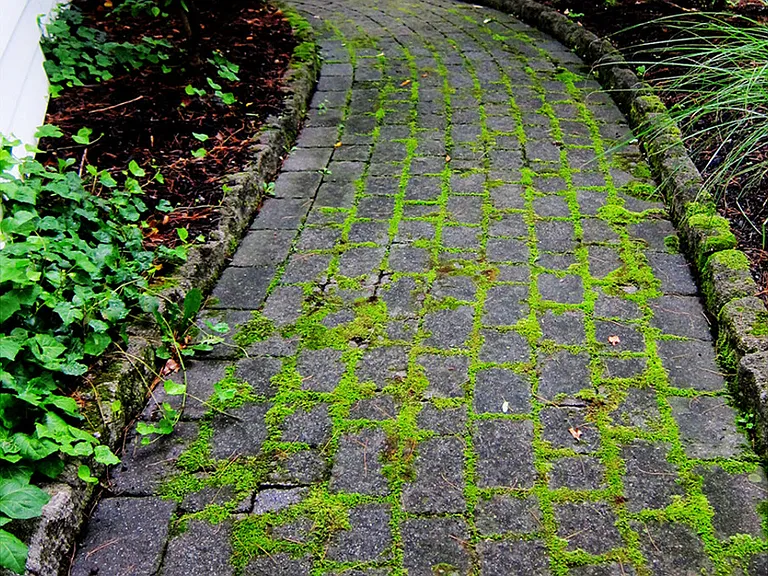Markus Dr — Photo 25