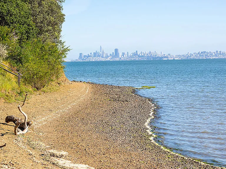 The Cove at Tiburon — Photo 6