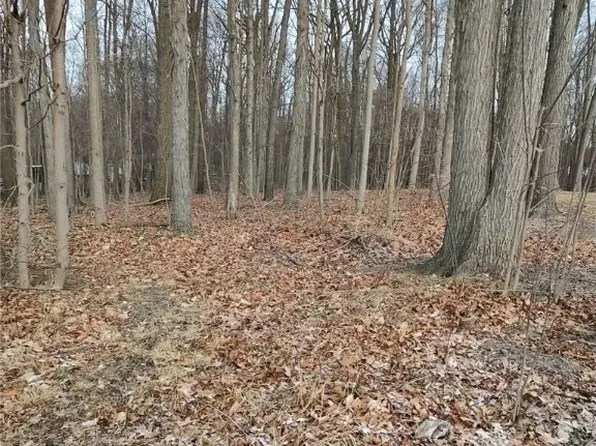 River Rd, Perry, OH 44081