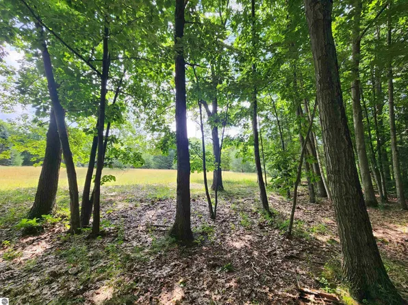 Nhn W Cedar Lake Rd, Greenbush, MI 48738