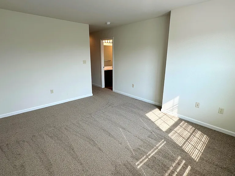 210 Mount Olive Ln — Photo 19