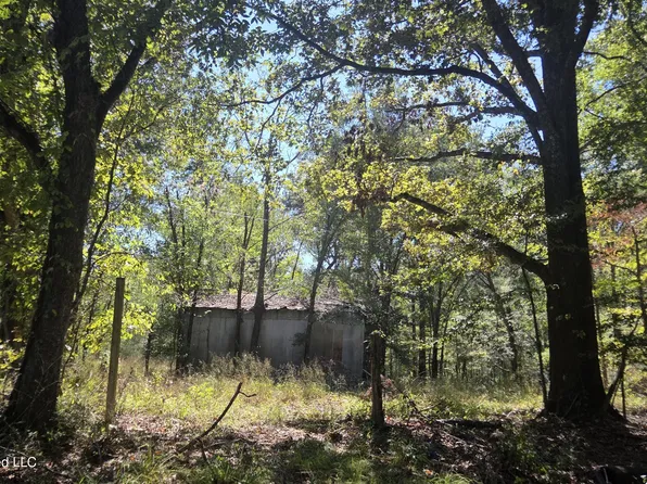 0 Bill Strong Rd, Edwards, MS 39066
